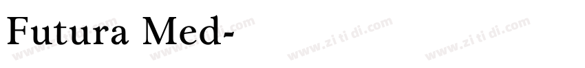 Futura Med字体转换